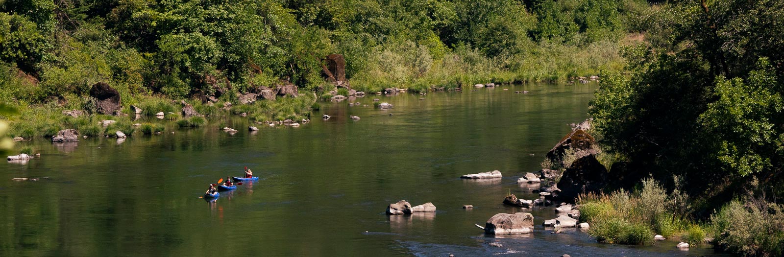 Read more about the article Wild and Scenic Rogue River Trip
